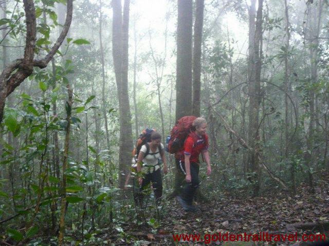 Phnom Penh Trekking To Kirirom National Park 3 Days